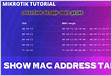MikroTik Tutorial show mac address table